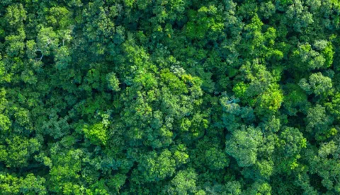 Revisione di ISO 14001